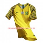 Maillot/Tenue Afrique Du Sud Domicile Coupe du monde féminine 2019